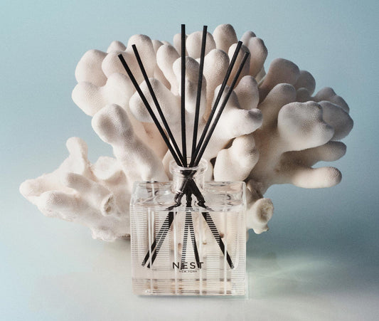 Ocean Mist & Sea Salt Reed Diffuser