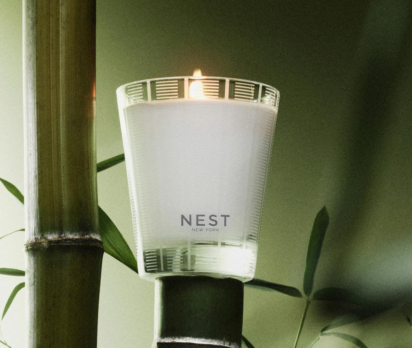 Bamboo Classic Candle 8.1 oz